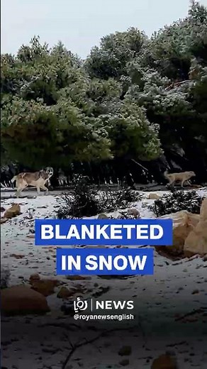 ❄️ Snow falls on Jordan’s mountain highlands