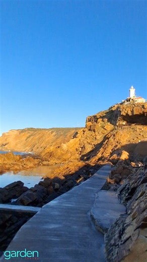Peaceful Mossel Bay Morning's till Evenings ❤️ I adore the calm and quiet of the Point in the early mornings. The brisk cool air, fisherman casting from the fisherman's rock into the sunrise, a pod of dolphins cruising by, whilst i breath it all in, refueling my heart n soul. Have a beautiful day everyone ❤️☀️ Xxx Hellen Schionning Garden Route Travel . . @topfans # #beachwalker #beachwalk #travelblogger #beachvibes #GardenRouteTravel #travel #gardenroute #travelphotography #visitsouthafrica #vi