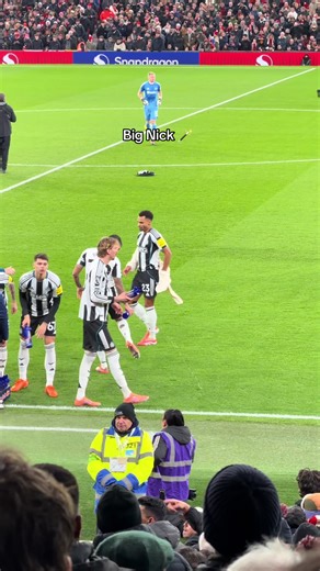 Newcastle gegen Manchester United: Spielanalyse