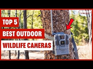 TOP 5 Best Outdoor Wildlife Cameras 2025 | Rugged & Smart Picks!