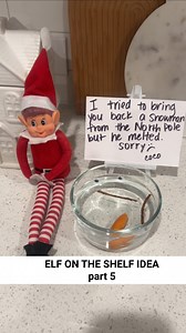 237K views · 103 reactions | Elf’s North Pole adventure went ❄️south❄️ – “Coco” attempted to gift a snowman to my kids, but it turned into a puddle! ☃️ . Follow for more elf on the shelf ideas! . . . . . . #elfontheshelf #elfontheshelfideas #elfideas #holidaytraditions #christmastradition #kidschristmas #christmasfun | Mallory Richardson | Facebook