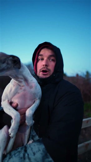 ChatGPT Script Got 512K