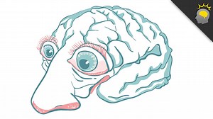 26K views · 14 reactions | Did The Ability To Smell Spark The Ability To Think? | Howstuffworks | Facebook