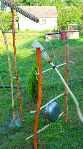 How to Make an Effective Bird Repeller for Your Garden #shorts #diy #skills #tips