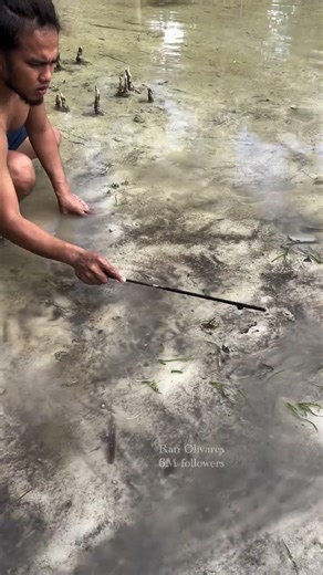 Unique sounds underneath #fishing #rivercrab #freshwaterfish #fishspecies #food #fishtypes #carpfish