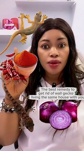 1M views · 14K reactions | The best remedy to get rid of wall gecko 年 living the same house with you  | JENNY BLOG | Facebook