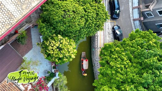 Shunde spring travel guide