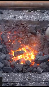 Random Hands on Reels