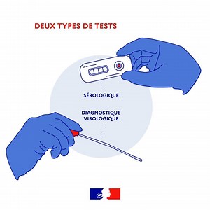 186K views · 8.8K shares | #CORONAVIRUS #COVID19 | 2 types de tests permettent de détecter la présence du virus ou d’anticorps dans l'organisme. ➡️ les tests diagnostiques virologiques, pour détecter les malades, les isoler et casser les chaînes de contamination ➡️ les tests sérologiques Comment fonctionnent-ils ? Comment être testé ? | Gouvernement | Facebook