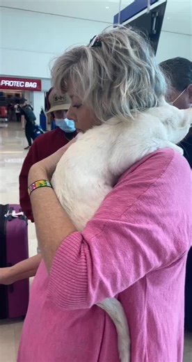 he’s so well behaved 🥺 (ig: savannahyates__) | cat meowing for help