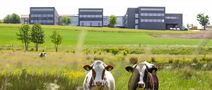 About Agro Food Park