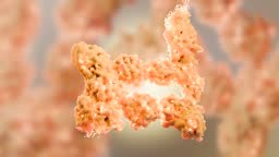 Weight loss. fat burn in human tissue, Adipose connective tissue, fat...