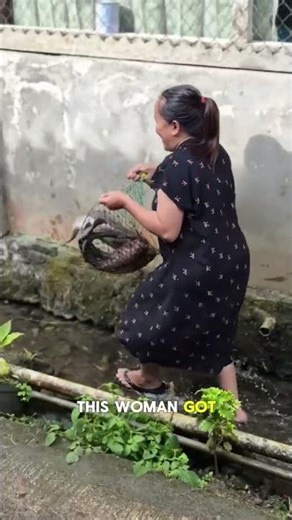 She Found a Giant Eel in a Drainage Ditch — No Fishing Rod Needed!