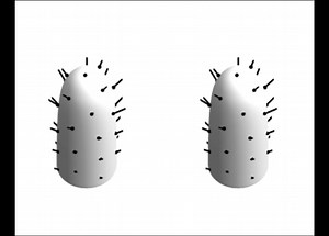Plant parent? Visualize how the phyllotaxis pattern changes depending on the angle of the shoot tip for a new leaf in this week's #WolframDemo: https://wolfr.am/1bcNCdiXV | Wolfram Research