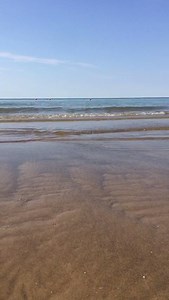 16K views · 1K reactions | Inviato a info.ita@radiomaria.org "Dall'Adriatico: W Radio Maria" Ale | Radio Maria | Facebook