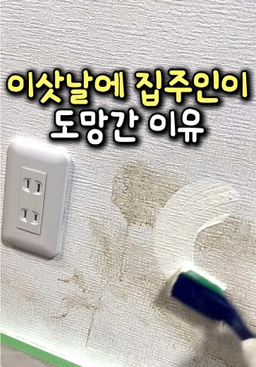 벽지 곰팡이 & 얼룩 제거 방법