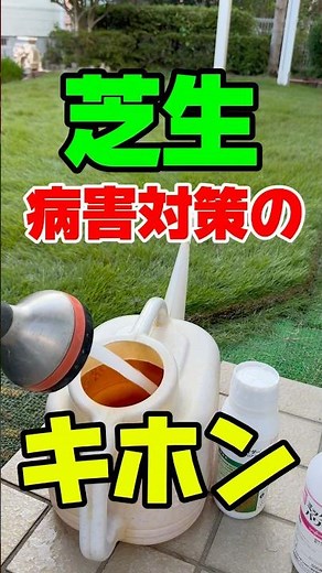 芝生用殺菌剤を上手に使うコツ！