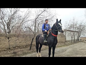 23.12.2025 ABDULLOX AKADAN BIR OT SOTILADI !..