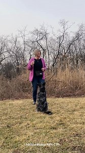 Unlock the path to success as a dog trainer with Karen Pryor Academy’s Dog Trainer Professional (DTP) education and certification program. With four different formats—virtual, regional, national, or world—you can select the one that is the right fit for you and your dog. Our program is based on the most up-to-date behavior science and modern training and teaching practices. It covers both the science and the practice of dog training, behavior change, client teaching, problem-solving, and busines