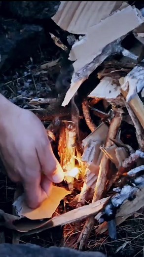 1.1K views · 12 reactions | When you are part of the PACK, you are family! . . . . . #travel #rv #overland #outdoors #camping #adventure #4x4 #explore #wilderness #camperlife #campinglife #vanlife #adventuretrailer #offgridtrailers #offgrid # #rvlife #explore #overland #overlanding #overlandexpo #offroad #offroadtrailer #jeep #homeiswhereyouparkit #camper #overlander #overlandrig #teardroptrailer | Off Grid Trailers | Facebook