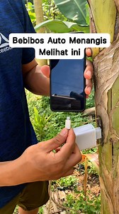 Bebibos Auto Menangis Melihat ini | Febriana Kurniawan