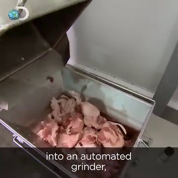 Pepperoni will always be pizza topping #1 for us. What about you? 🤤🍕 #HowItsMade | Discovery Channel UK