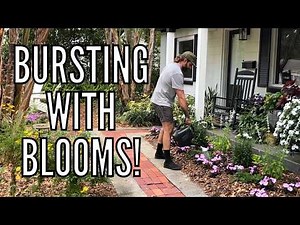 BURSTING with BLOOMS: Seasonal Spring Flowerbed Makeover // The Gardener's Garden
