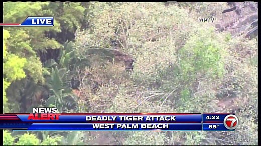 563K views · 904 reactions | #BREAKING: Zoo employee dies after tiger...