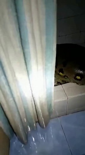 177K views · 1.8K reactions | Dexter Lab on Reels | Facebook