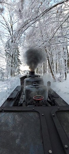 16K views · 299 reactions | Öchsle Bahn narrow gauge steam locomotive...