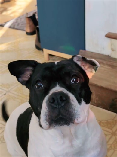 Just a widdle wainbow baby with a widdle wainbow on her 🌈