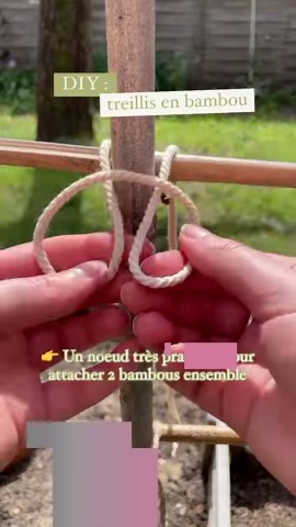 Vous avez des bambous sous la main ? 🌱Vous pouvez créer des treillis pour vos plantes grimpantes en pots ou pour votre potager ! 👉 Voici un noeud simple à réaliser et très pratique pour attacher 2 bambous ensemble à l’aide d’une corde !C’est grâce à lui que j’ai fabriqué un treillis 3x3 pour faire grimper mes haricots dans mon carré potager 👩🏻‍🌾 J’espère que ce petit noeud vous sera utile 💪🏻 (ça m’a rappelé l’époque des scoubidous et des bracelets brésiliens.. qui s’identifie ? 😂) Bon di