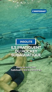 Connaissez-vous le hockey subaquatique ? À Perpignan, le Daulphy Club existe depuis 1999 et compte aujourd'hui une trentaine de membres. Une discipline mixte, ouverte dès 12 ans. | L'Indépendant