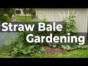 🍅 Straw Bale Vegetable Gardening 🍅