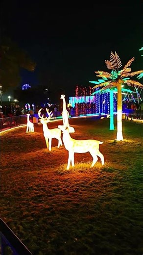 Ahmedabad Diary | Ahmedabad Glow Garden | Anaya video #ahmedabad