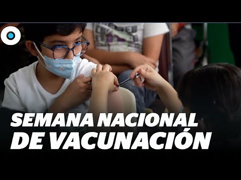 Semana nacional de vacunación, todo lo que debes saber | Reporte Indigo