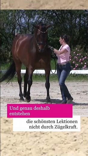 Pferde verstehen keine Lektionen – sie verstehen Bewegung.