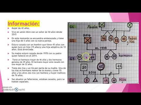 CÓMO HACER UN GENOGRAMA