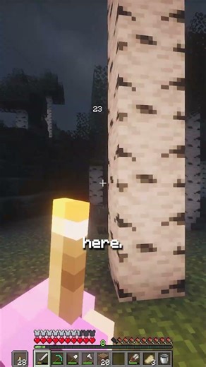 Trying to find the PLAYMATE HORROR MOD in Minecraft