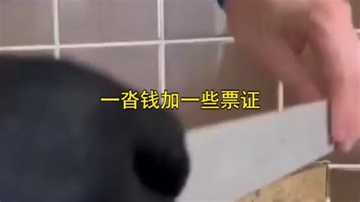 242-故事的碎花瓣