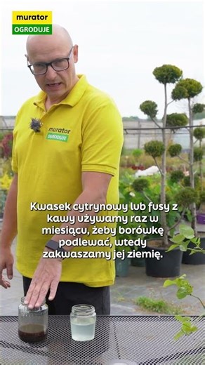 THE MOST IMPORTANT THINGS IN BLUEBERRY GROWING ARE THESE THINGS