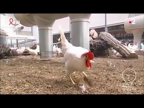 C’est un monde - L’agriculture de demain