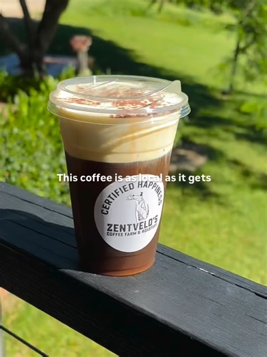 Introducing our ‘Home grown honey cold foam’….🐝☕️ Cold brew using our naturally lower caffeine Matilda coffee. 100% grown and roasted on our farm - we top it off with raw honey from our hives blended with cream and unhomogonised milk from dairy just down the road!! This cold foam is as local as it gets and we can’t wait for you to try it