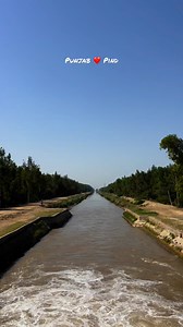 26K views · 809 reactions | Punjab is name of Love ❤️ #village #villagelife | Punjabi Productions | Facebook