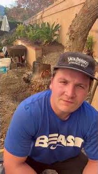 Removing a palm tree stump with brute force #diy #tree #palmtree #garden #yard #home #gardening