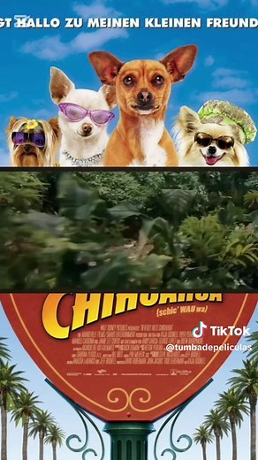 Una Chihuahua de Beverly Hills: La Búsqueda de Chloe