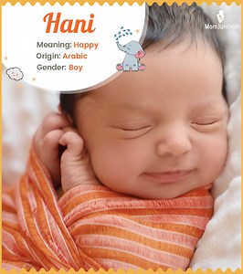 Hani Name Meaning & Origin: A Comprehensive Guide