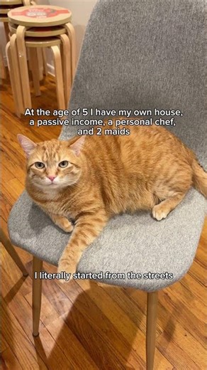 Dio has a course to sell you…