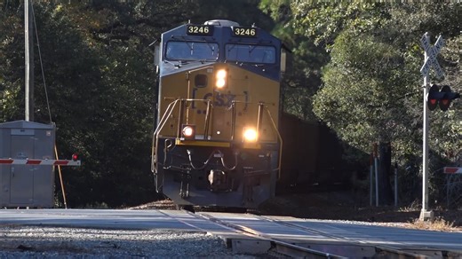 What Are Spring Switches