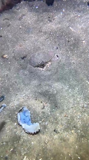 Sea Fishing Adventure: Tips & Techniques